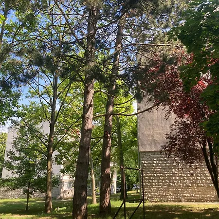 Oazis Veszprém