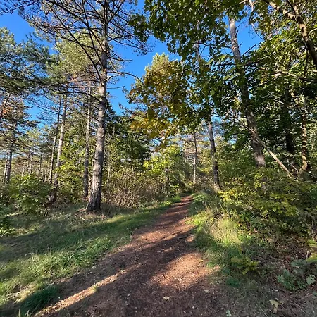 Lejlighed Oazis Veszprém