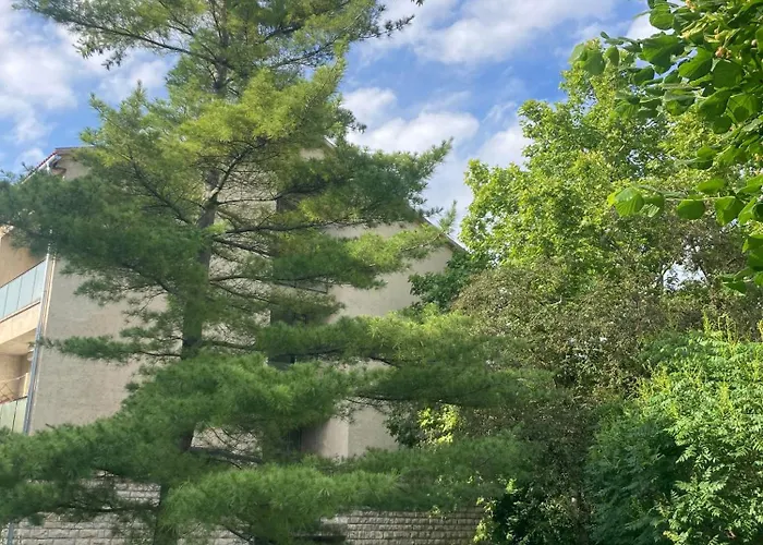 公寓 Oazis 维斯普雷姆