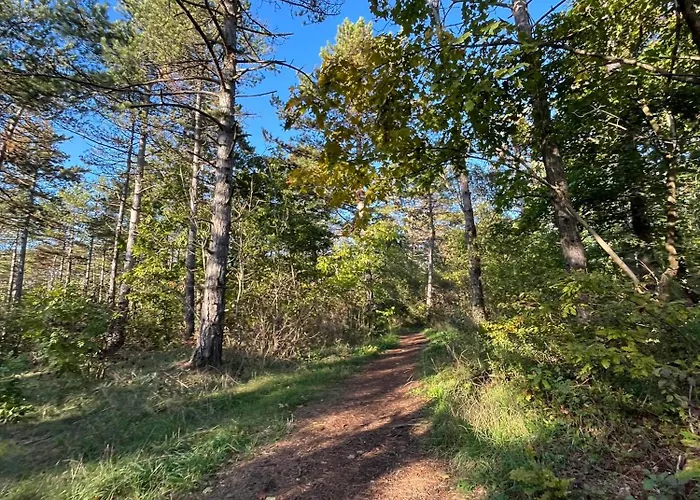 Appartamento Oázis Veszprém