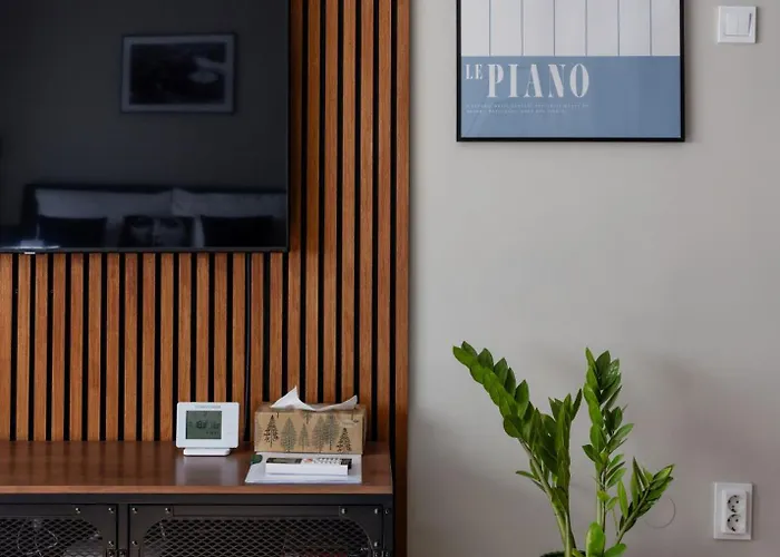 Oazis 维斯普雷姆